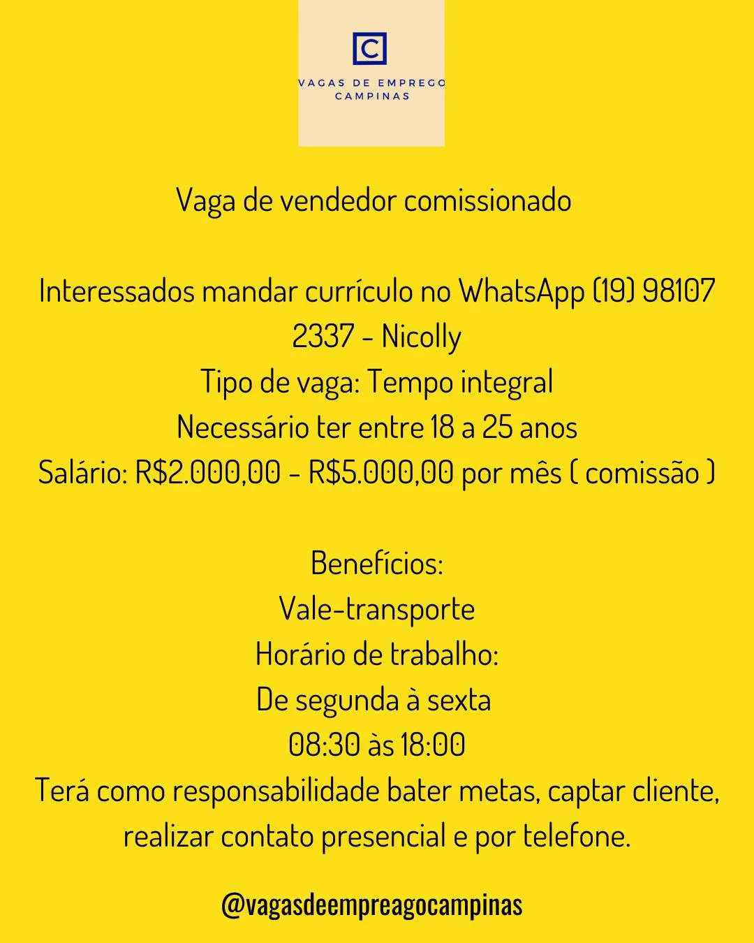 Vaga de vendedor comissionado 1